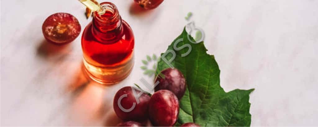 Koop 100% Pure Sweet Cherry Kernel Carrier Essential Oil voor Skin